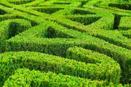 Don’t Believe Everything You Think Image